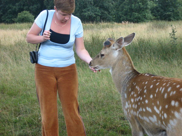 Наталья Бильдюкевич