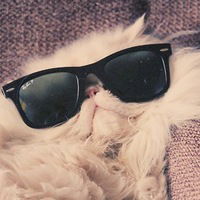 Маша Гильманова