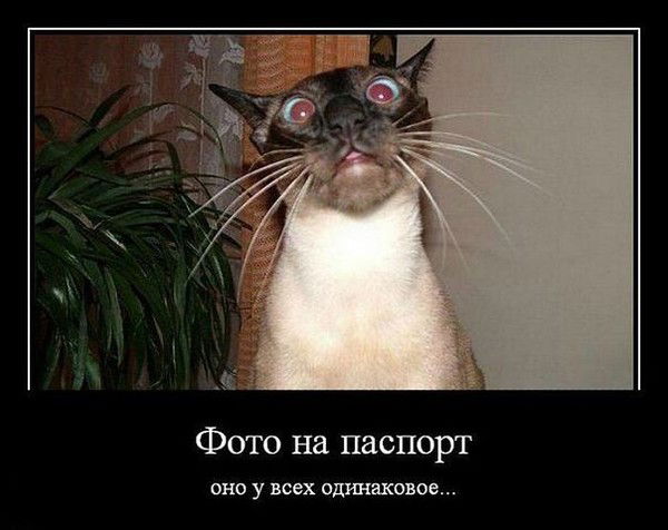 Дмитрий Онучин