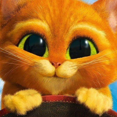 Екатерина Никитина