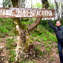 Александр Тимофеенко