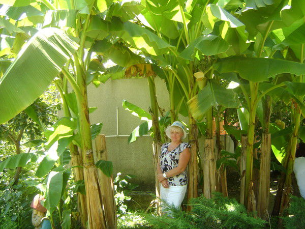 Ирина Бойкова