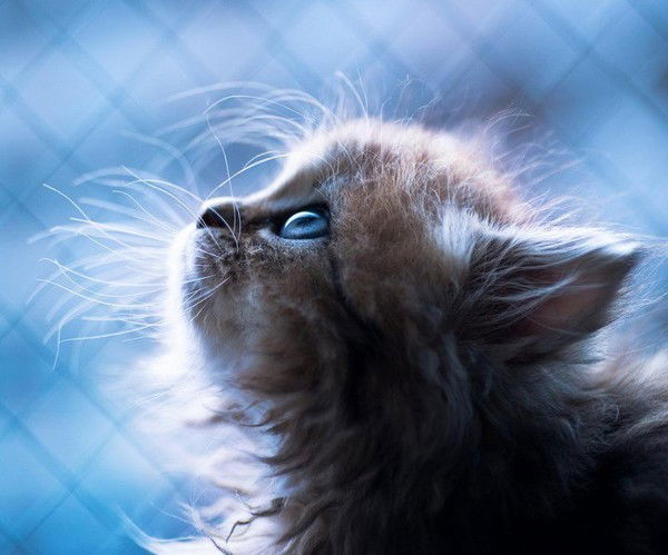 Мария Арцатбанова