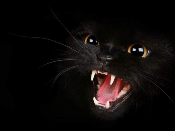 Наталья Малиновская