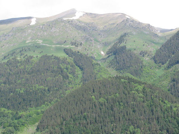 Нина Матвиенко