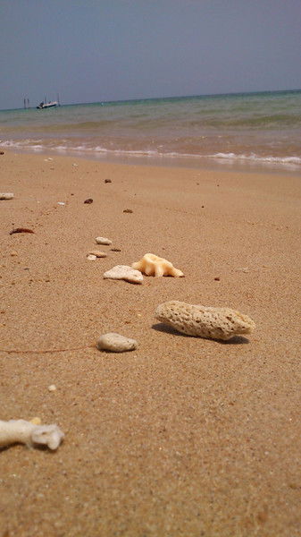 Бибинур Рахмаева