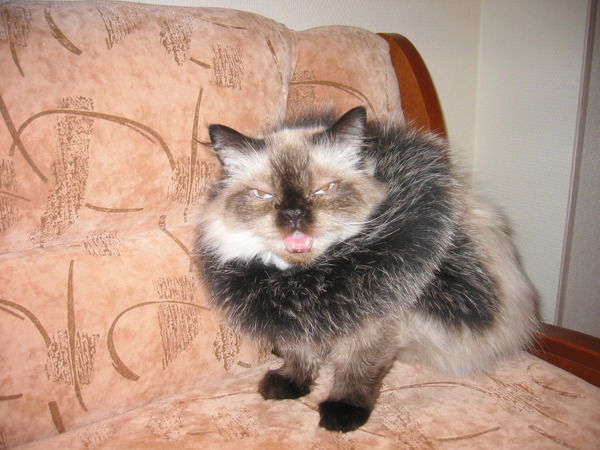 Юля Крымова