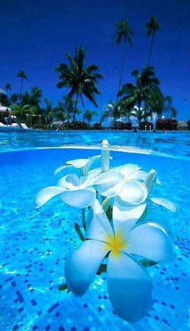 Маяковка Справочный Зал