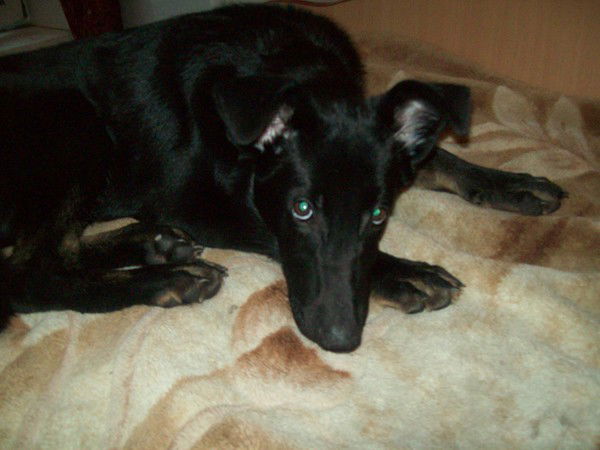 Юра Воронцов