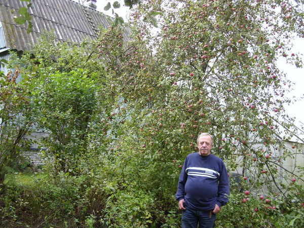 Анатолий Темнышев