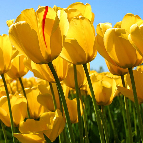 Озсп И Загс Озсп И Загс