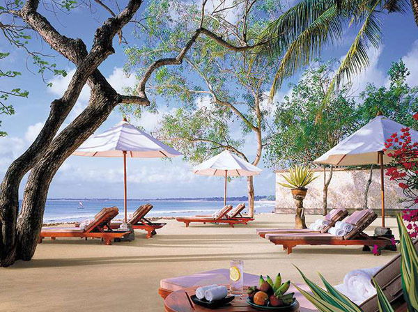 Елена Кольцова