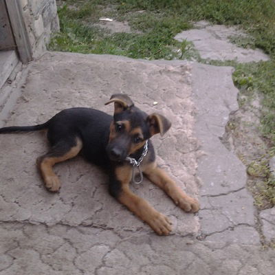 Наум Агинский