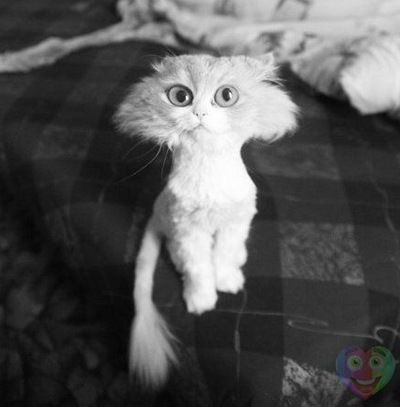 Семен Дубяк