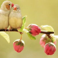 Наталия Борсук