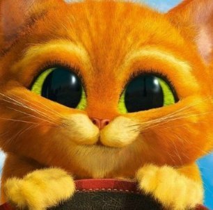 Милая Ведьмочка