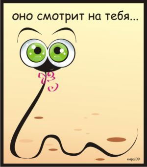 Геккон Геккон