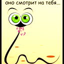 Геккон Геккон