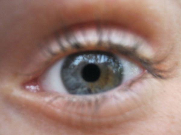 Виктор Кулинченко