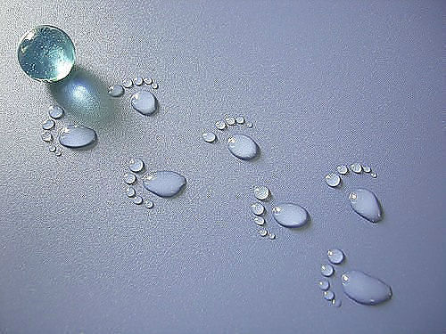 Александр Тар