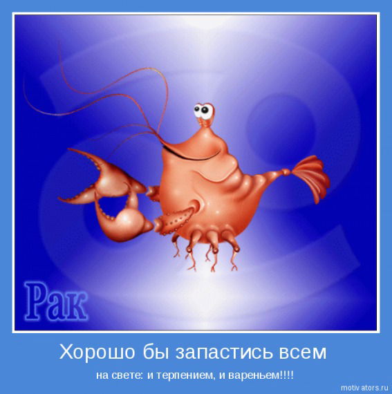 Анна Стоюнина