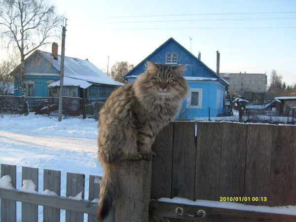 Маринка Карелина