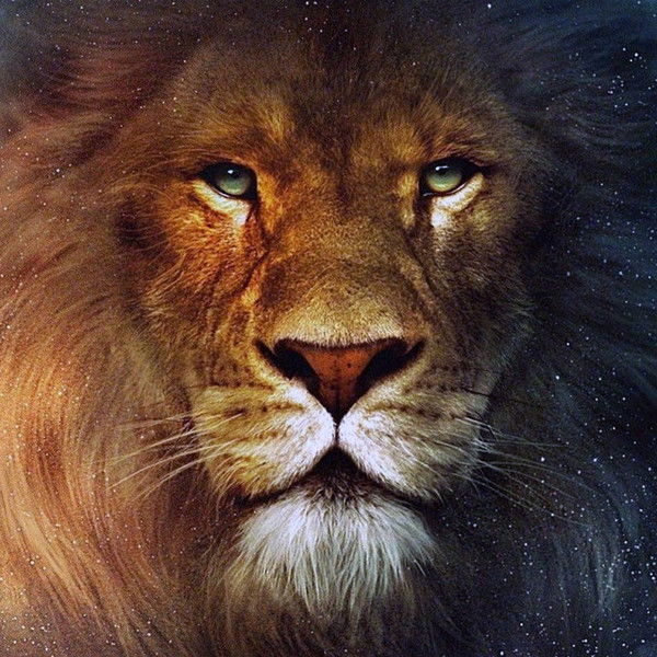 Денис Шлимаков