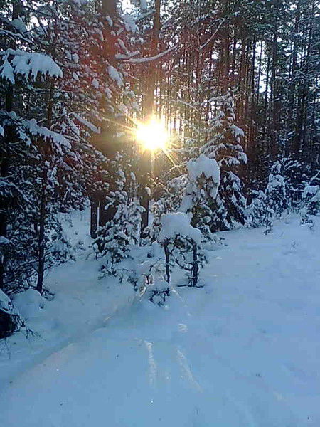 Алекс Пучев