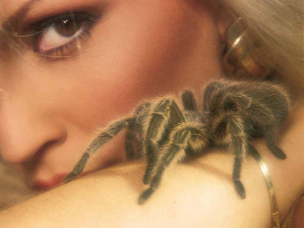 Татьяна Старикова