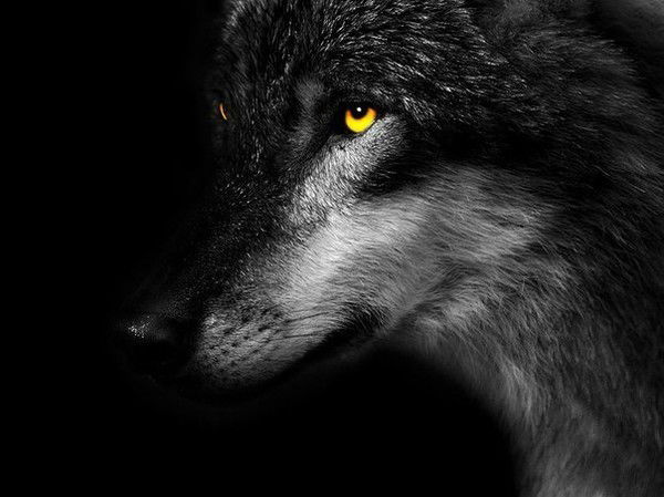 Виктор Васильев