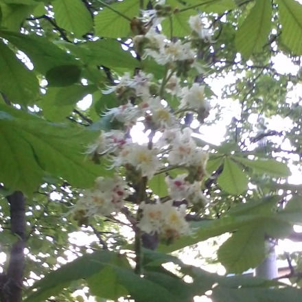 Галина Гашникова