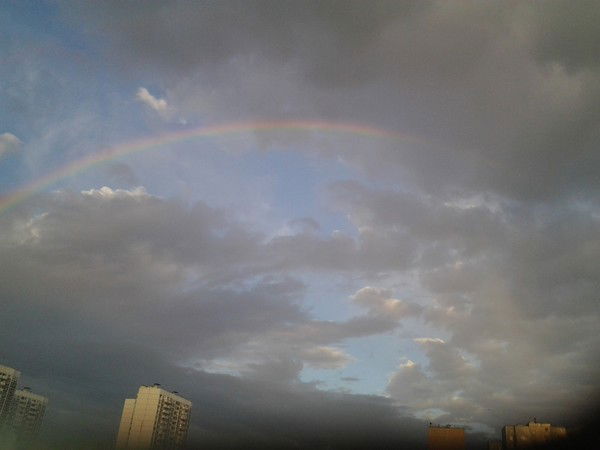 Владимир Шин