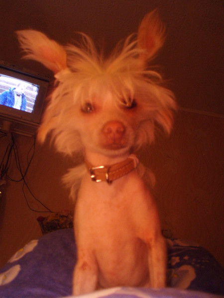 Александр Васильев