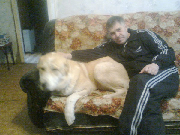 Игорь Голещихин