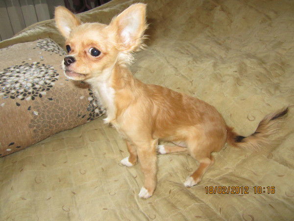 Михаил Филипчик