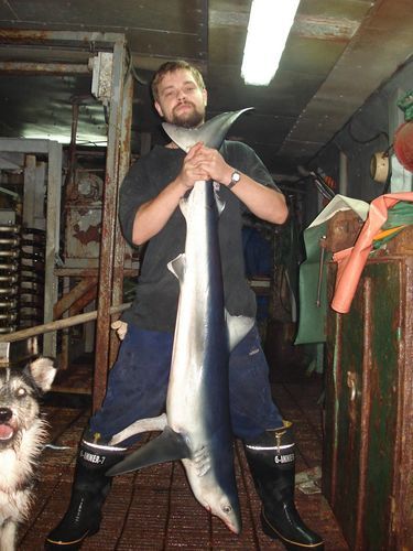 Владимир Дунин