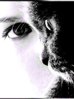 Анжела Владимирова