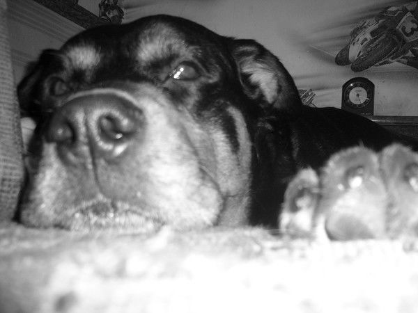 Иван Никифоров