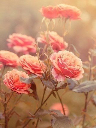 Юлия Зинатуллина