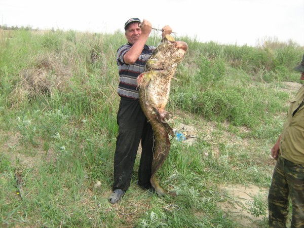 Владимир Палкин