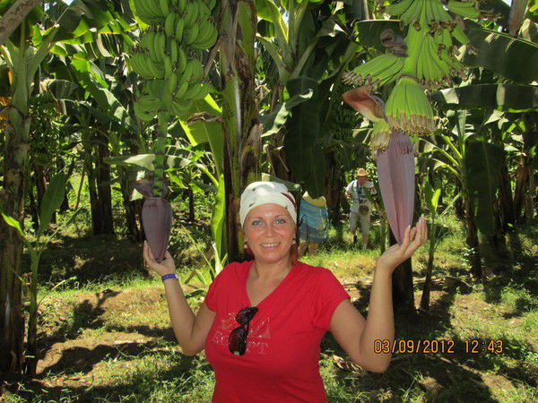 Нина Цветкова