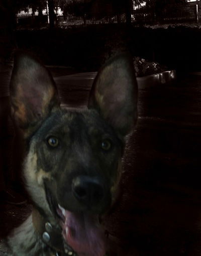 Кристина Галунина