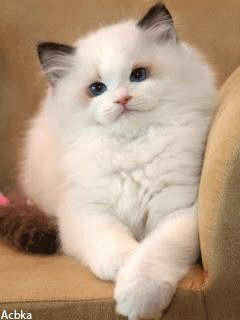 Елена Гуськова