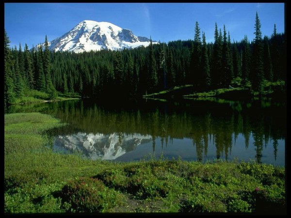 Неизвестно Неизвестно