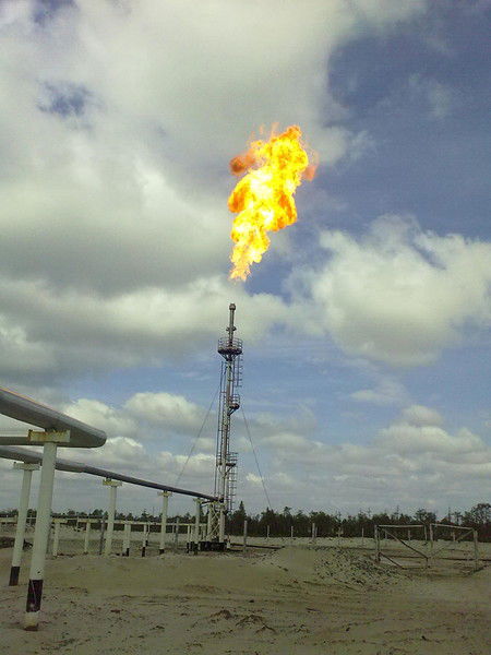 Неизвестно Неизвестно