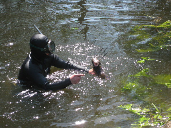 Дима Васильев