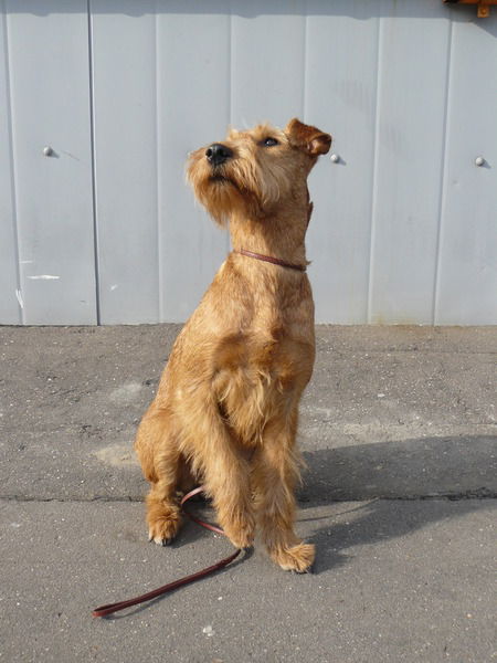 Виктория Васильева