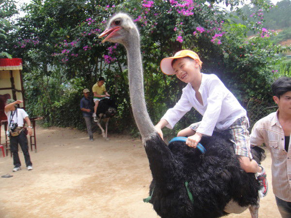 Герман Чжан