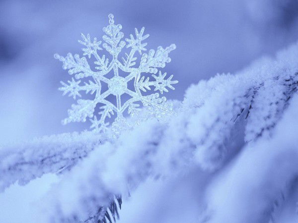 Алима Кушкенова