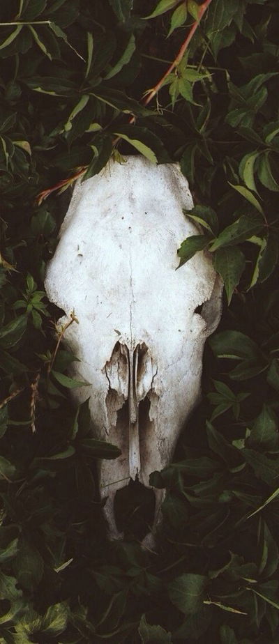 Кирилл Владимирович